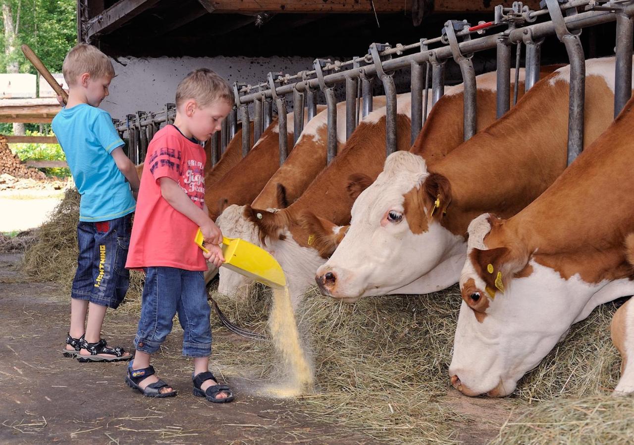 Holznerhof - Chiemgau Karte Villa Inzell Eksteriør billede